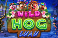 Wild Hog Luau RTG Slot game