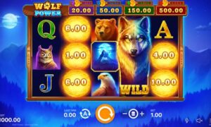 Wolf Power: Hold and Win Slot by Playson