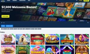 Ripper Casino Review